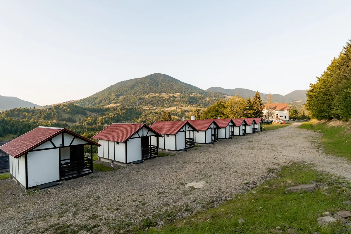 farmecul_naturii_colibita_63